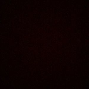 Meet your Posher, Elise